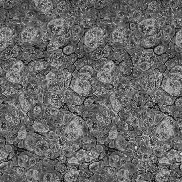 Tapet Marbling, Graphite