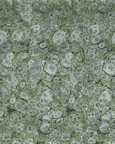 Tapetă Marbling, Verde