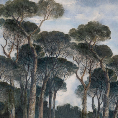 Wallpaper cu design artistic Umbrella Pines, Vintage, cu un peisaj fascinant cu copaci impunători și un cer senin.