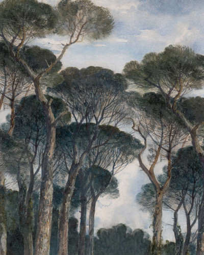 Wallpaper cu design artistic Umbrella Pines, Vintage, cu un peisaj fascinant cu copaci impunători și un cer senin.
