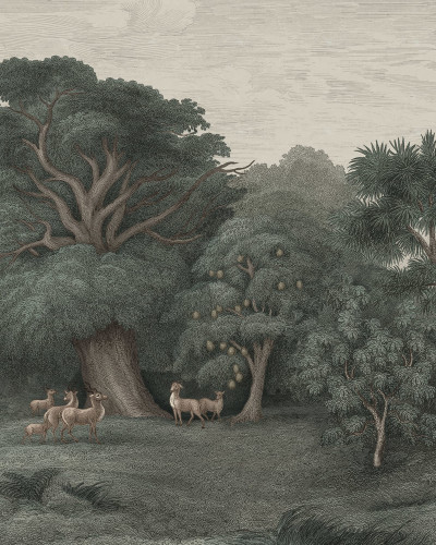 Jungle Forest, Dark, Rebel Walls