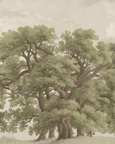 Tapet cu design vintage de pădure - Vintage Oaks