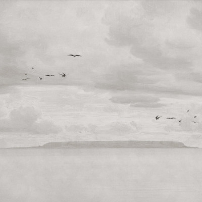 Seabirds, Beige, Rebel Walls