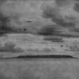 Fototapet Seabirds, Black & White, Rebel Walls