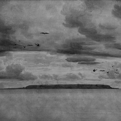 Seabirds Black & White wallpaper by Rebel Walls, featuring a hand-drawn landscape with birds flying, a cloudy sky and a coastline. The wallpaper is perfect for adding a touch of sophistication to any room.