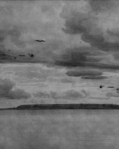 Seabirds Black & White wallpaper by Rebel Walls, featuring a hand-drawn landscape with birds flying, a cloudy sky and a coastline. The wallpaper is perfect for adding a touch of sophistication to any room.
