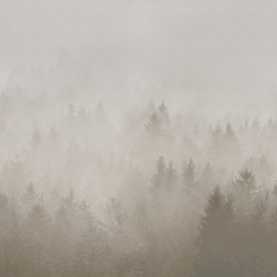 Fototapet bej cu motiv de pădure în ceață într-un dormitor