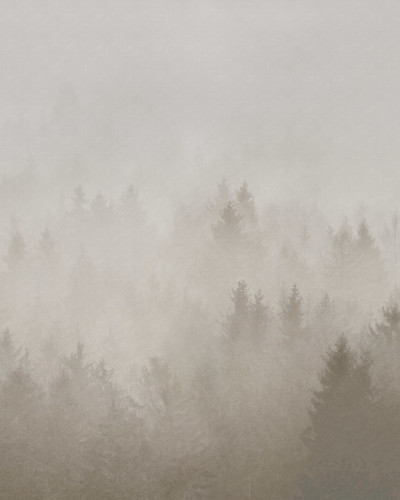Fototapet bej cu motiv de pădure în ceață într-un dormitor
