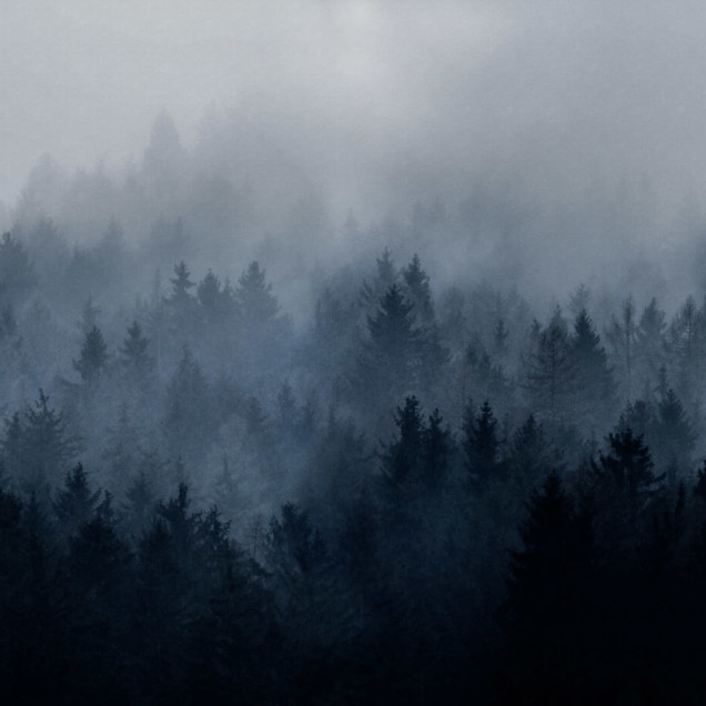Tapet Pădurea Înnorată, Albastru, cu un design relaxant de pădure învăluită în ceață, perfect pentru a crea o atmosferă de calm în orice cameră.