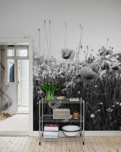 Fototapet cu un câmp de maci în alb și negru, perfect pentru un design minimalist.