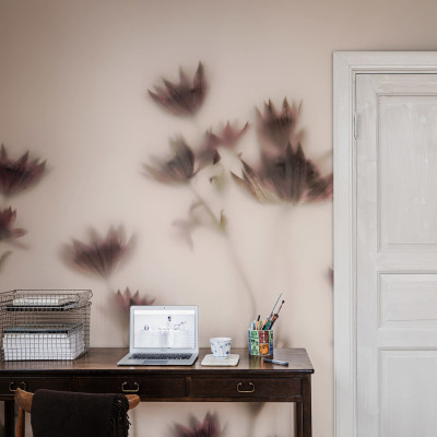Tapet floral cu flori de Astrantia in nuante de roz