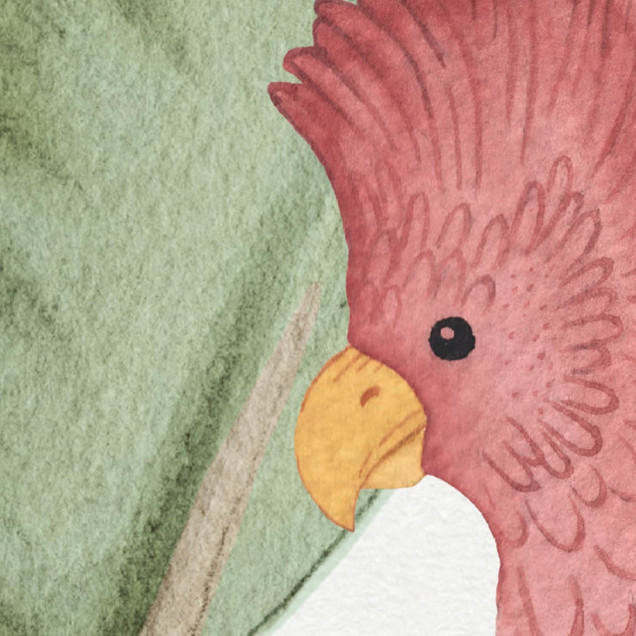 Tapet cu un design unic inspirat de jungla tropicala, cu girafa, elefant, tucan si papagal.