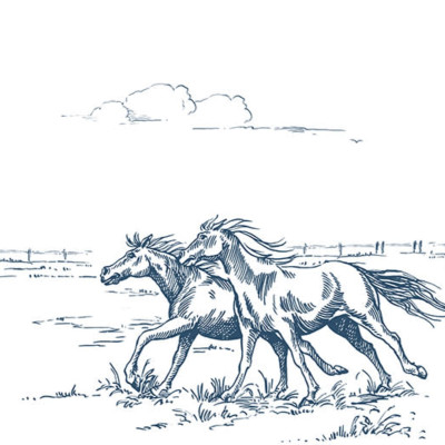 Tapet Horses Herd Grand Blue cu un efectiv de cai care aleargă liber printr-un câmp