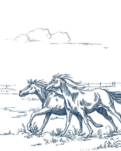 Tapet Horses Herd Grand Blue cu un efectiv de cai care aleargă liber printr-un câmp
