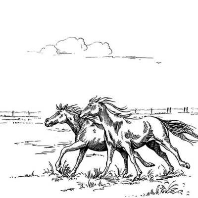 Tapet Horses Herd Grand, Negru, cu cai in negru pe un fundal alb