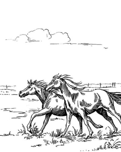 Tapet Horses Herd Grand, Negru, cu cai in negru pe un fundal alb