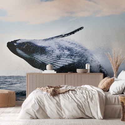 Tapet perete cu o balena care sare din apa. Imaginea este in nuante de albastru, gri si alb, creand un efect relaxant.