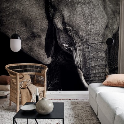 Imagine cu un wallpaper  cu un  elefant  în tonuri de gri,   în   cadru   un   living  cu   mobilier   modern   și   plante.