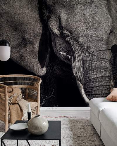 Imagine cu un wallpaper  cu un  elefant  în tonuri de gri,   în   cadru   un   living  cu   mobilier   modern   și   plante.