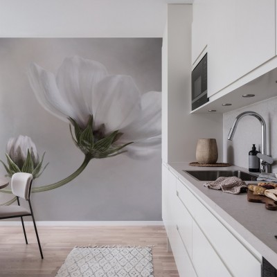 Fototapet cu floare albă delicată pe un fundal gri deschis, în decorul unei bucătării moderne.