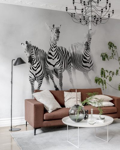 Tapet cu zebre in alb si negru, pe un fond gri deschis, tapet Graphic Zebras