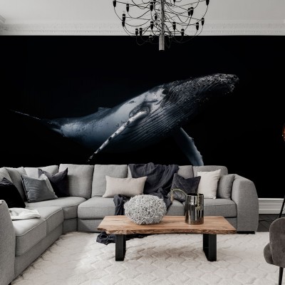 Imagine cu un tapet Black Whale care înfățișează o balenă albastră în nuanțe de gri pe un fundal negru.