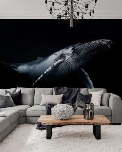 Imagine cu un tapet Black Whale care înfățișează o balenă albastră în nuanțe de gri pe un fundal negru.