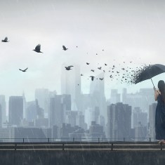 Fototapet Rain Bird, personalizat, Rebel Walls