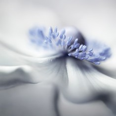 Fototapet Blue Pastil, personalizat, Rebel Walls