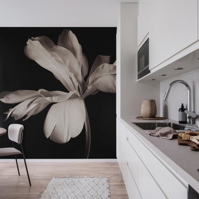 Tapet Dramatic Flower cu o floare alba pe un fundal negru, in interiorul unei bucatarii