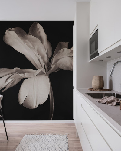 Tapet Dramatic Flower cu o floare alba pe un fundal negru, in interiorul unei bucatarii