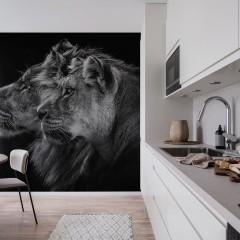 Fototapet Lion Duo, personalizat, Rebel Walls