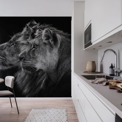 Lion Duo wallpaper - două lei pe un fundal negru