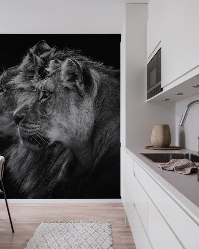 Lion Duo wallpaper - două lei pe un fundal negru