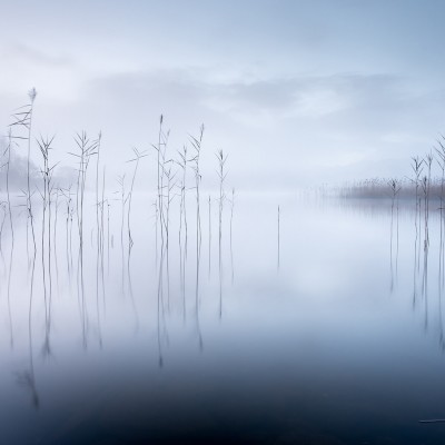 Tapet Calm Lake cu design minimalist, inspirat de un lac cu ceață și stuf, perfect pentru dormitoare, livinguri și alte spații din casa dumneavoastră.