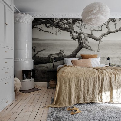 Tapet Lazy Lion cu un leu leneș relaxat pe o ramură de copac din savană, în tonuri de gri. Imaginea este ideală pentru decorarea dormitorului, livingului sau biroului.