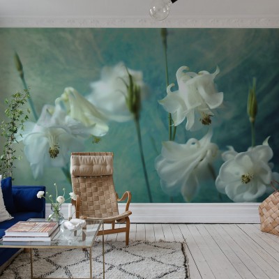 Imagine cu un wallpaper cu flori albe Aquilegia pe fundal verde.