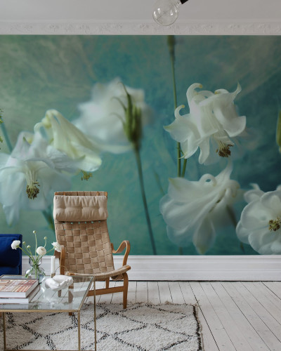 Imagine cu un wallpaper cu flori albe Aquilegia pe fundal verde.