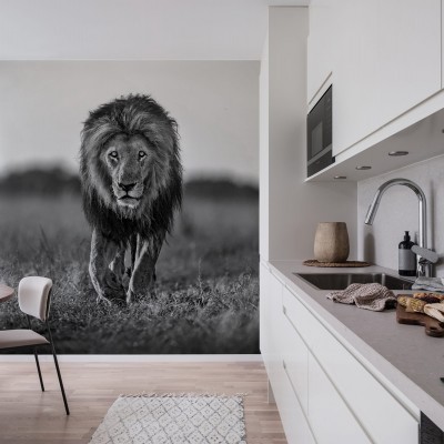 Tapet 3D cu un leu în alb-negru, decor perfect pentru living, dormitor sau birou.
