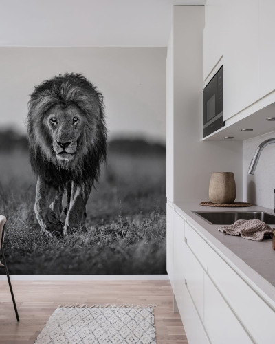 Tapet 3D cu un leu în alb-negru, decor perfect pentru living, dormitor sau birou.