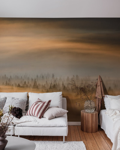 Imagine cu tapetul Golden Fir Forest - un paduc cu brazi aurii invaluiti in ceata