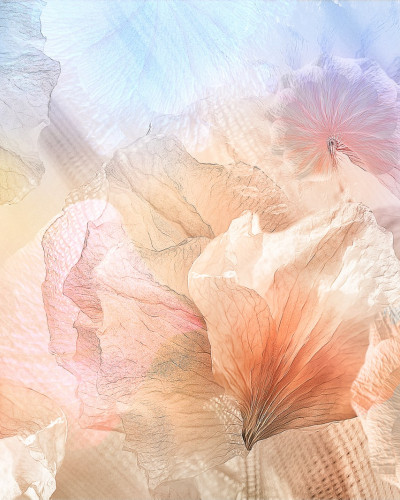 Tapet abstract cu petale pastelate, Pastel Petals