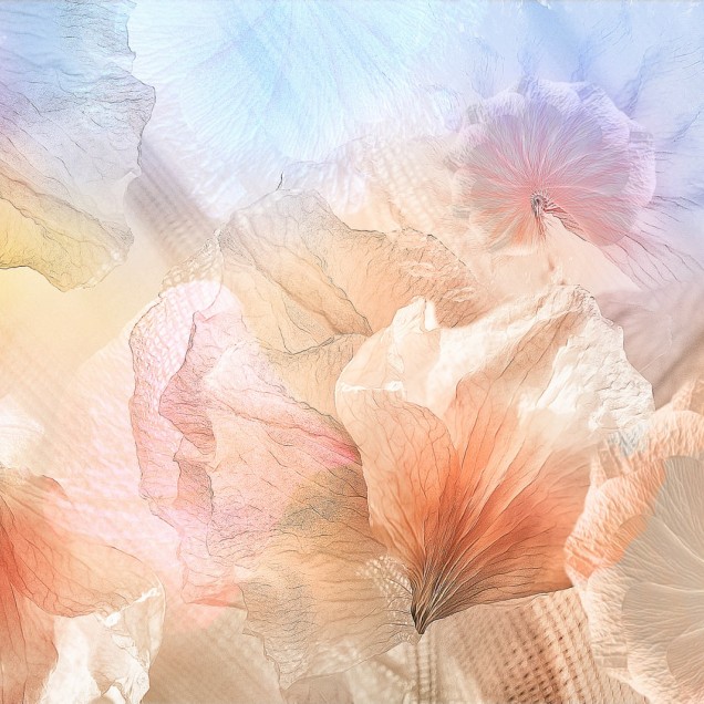 Tapet abstract cu petale pastelate, Pastel Petals