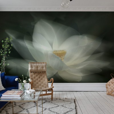 Tapet floral cu nufăr alb, White Waterlily.