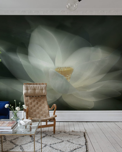 Tapet floral cu nufăr alb, White Waterlily.