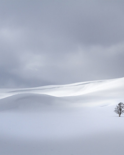 Tapet Snowy Hills, cu un design minimalist, cu dealuri acoperite de zăpadă, un cer senin și un singur copac solitar, care creează o atmosferă relaxantă și introspectivă.