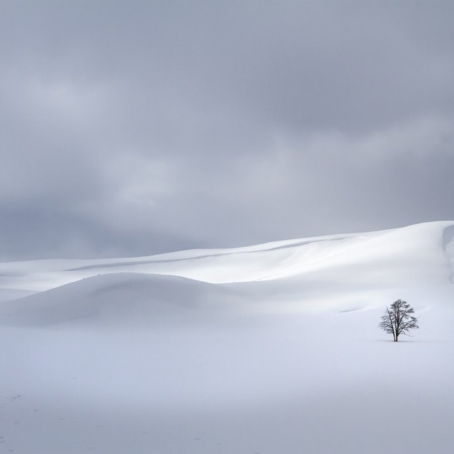 Tapet Snowy Hills, cu un design minimalist, cu dealuri acoperite de zăpadă, un cer senin și un singur copac solitar, care creează o atmosferă relaxantă și introspectivă.