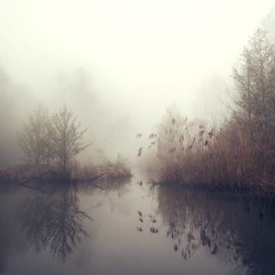 Tapet cu design natural captivant, ce prezintă un lac lin și copaci în ceață. Ideal pentru a adăuga o notă de inspirație și stil casei dumneavoastră.