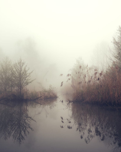 Tapet cu design natural captivant, ce prezintă un lac lin și copaci în ceață. Ideal pentru a adăuga o notă de inspirație și stil casei dumneavoastră.