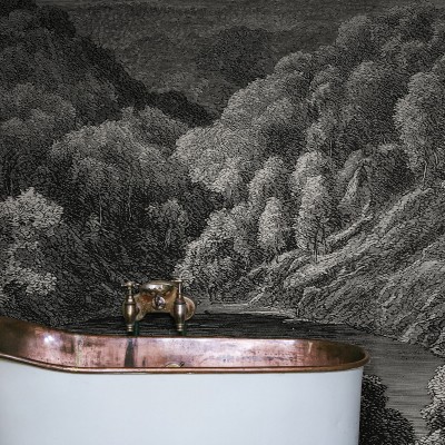 Tapet cu un design vintage, care prezintă un lac misterios înconjurat de munți.